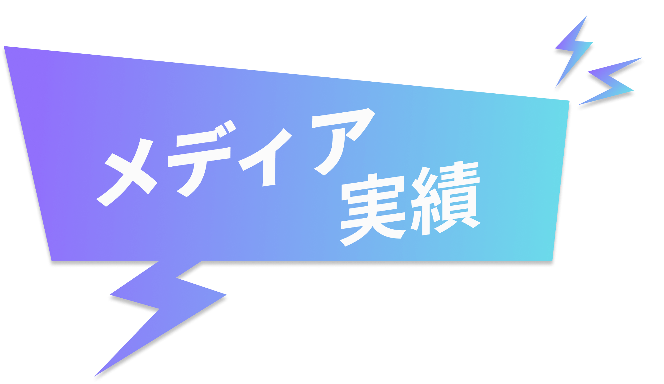 メディア実績